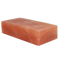 Himalayan Salt Tile BRICK 20*10*5cm