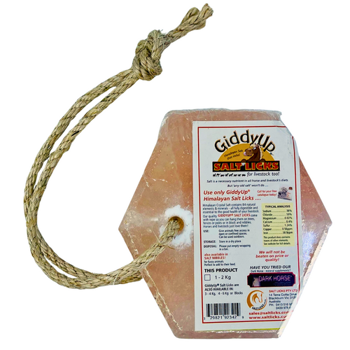 Himalayan Salt Lick HEXAGONAL with Rope 2-3kg